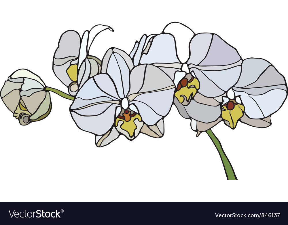 Orchid stained glass royalty free vector image