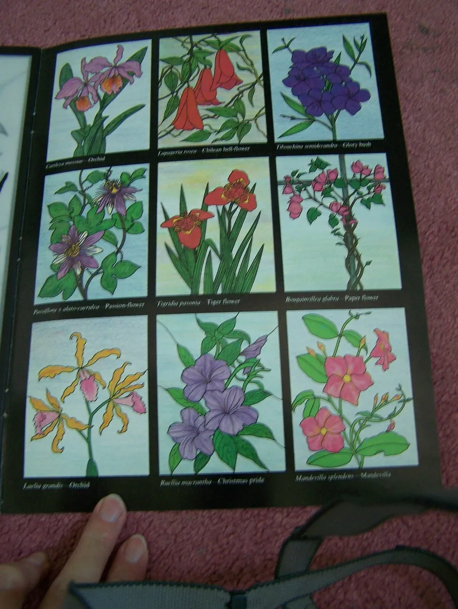 Tropical flowers stained glass coloring book by relei carolyn