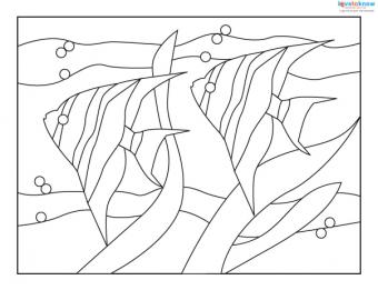 Free stained glass patterns