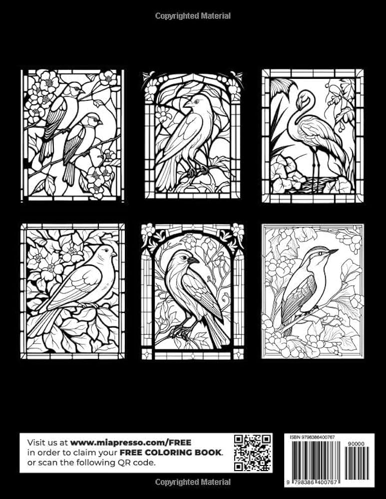 Stained glass birds coloring book for adults stained glass birds windows patterns adults coloring book for relaxation stress relief meditation hummingbird gifts flamingo gifts presso mia books