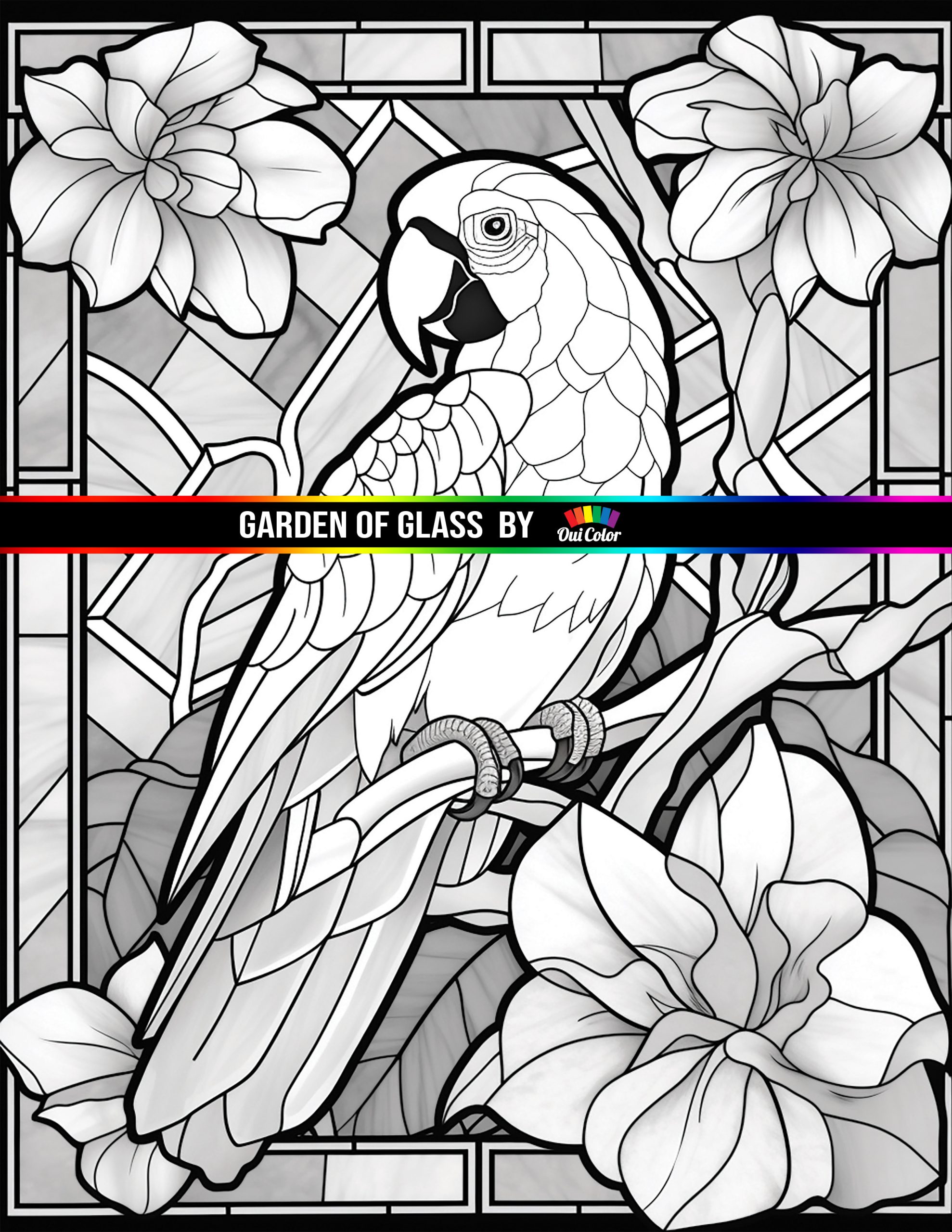 Garden of glass a whimsical coloring book of stained glass bird and flower mosaics nature series