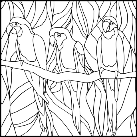 Parrots stained glass coloring page free printable coloring pages