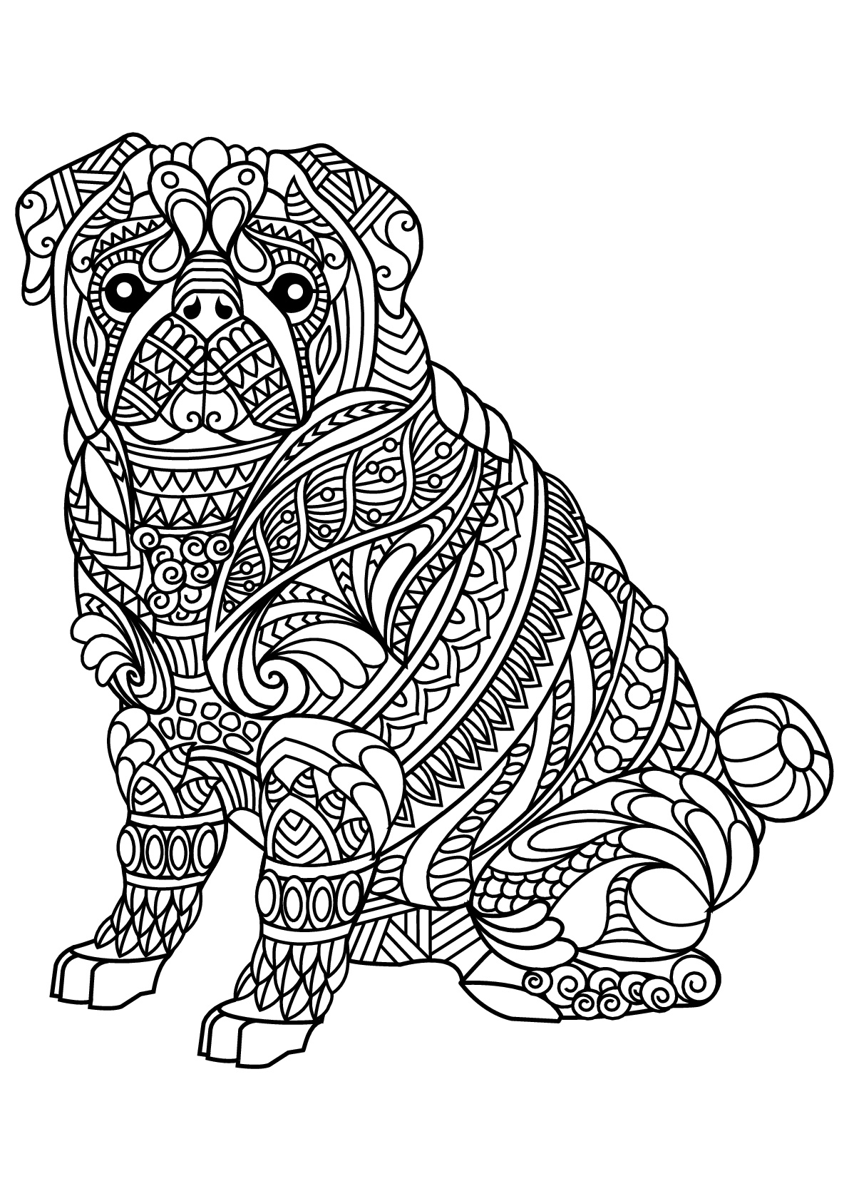 Sitting bulldog and pretty patterns