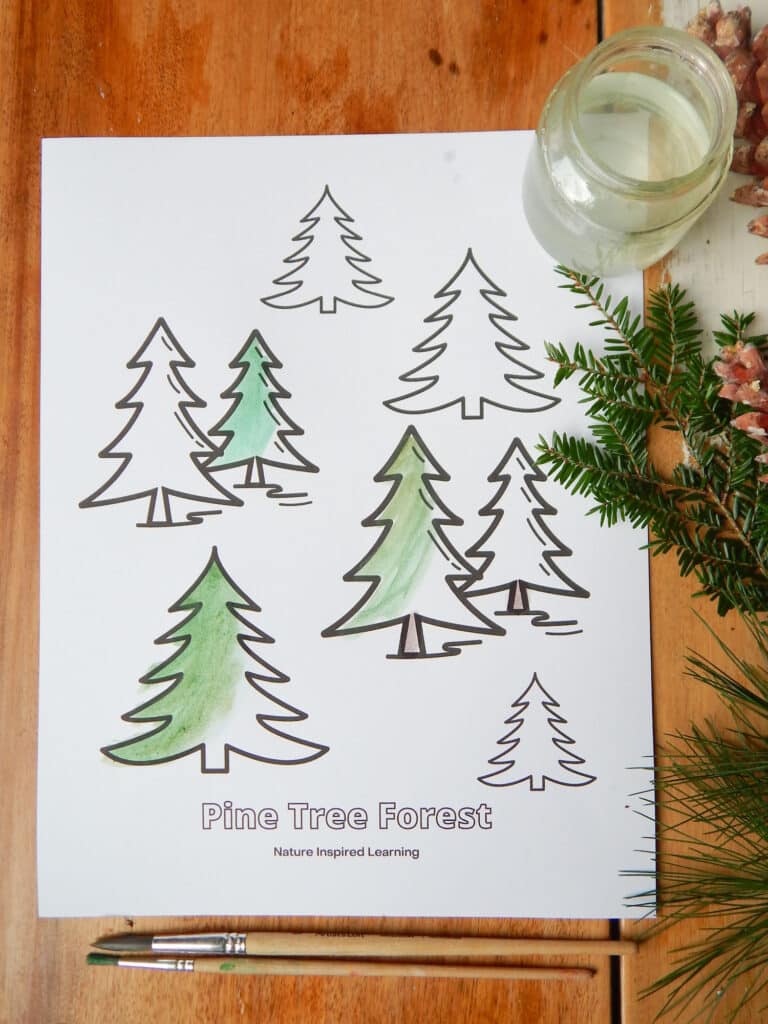 Pine tree coloring pages for kids