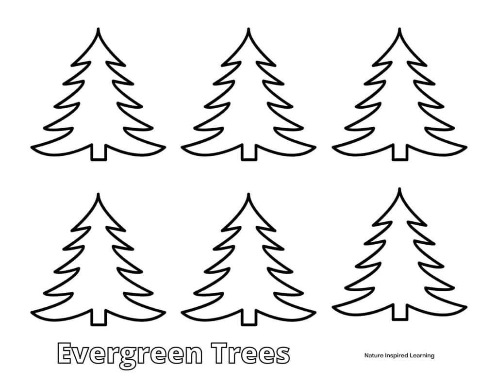 Pine tree coloring pages for kids
