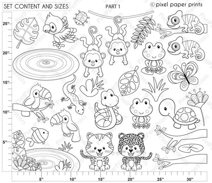 Rainforest animals stamps digital stamps line art wild