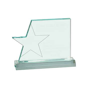 Clear star page acrylic with base â successful signs and awards