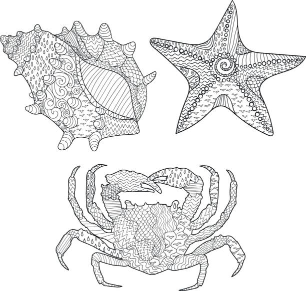 Starfish coloring stock illustrations royalty