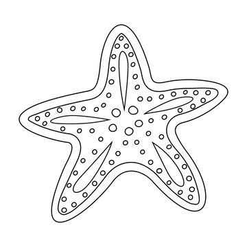 Premium vector vector illustration of a starfish outline drawing of a starfish illustration for the coloring book