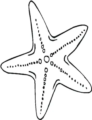 Star fish coloring sheets