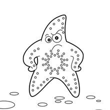 Starfish coloring pages