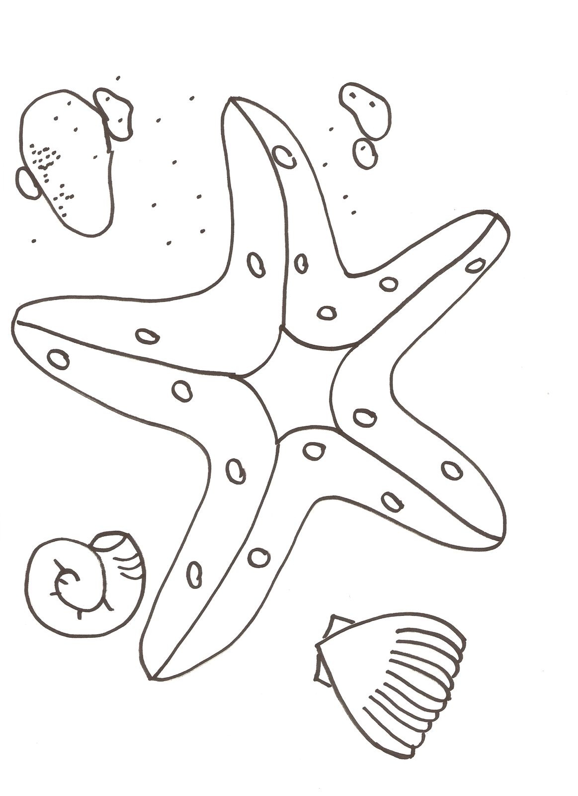 Free printable starfish coloring pages for kids