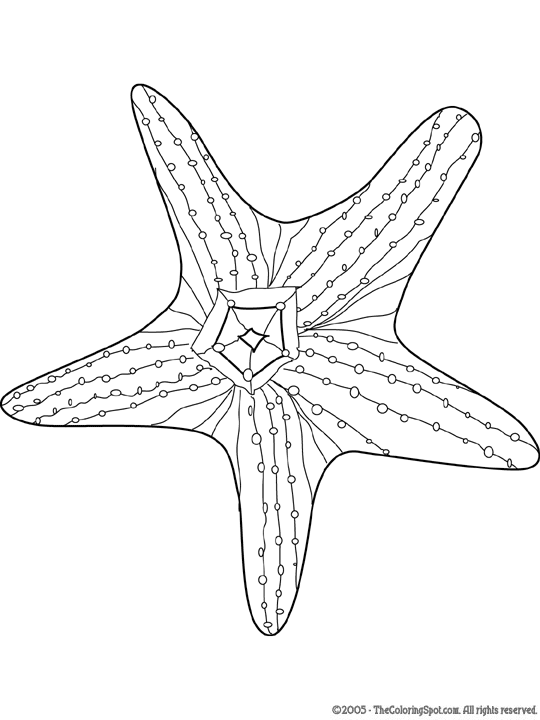 Starfish coloring page audio stories for kids free coloring pages colouring printables