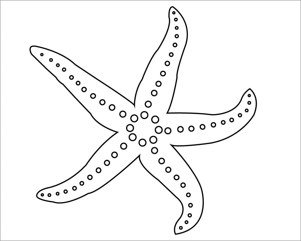 Starfish coloring pages printable for free download