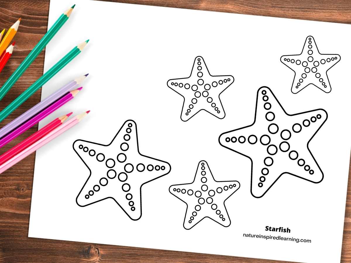 Starfish coloring pages