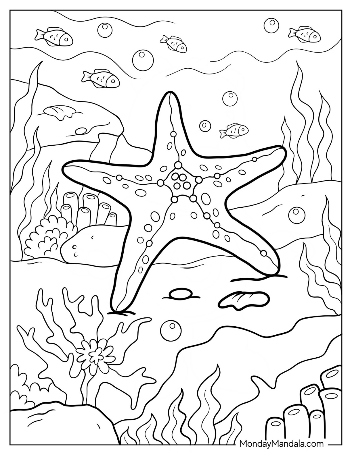 Starfish coloring pages free pdf printables