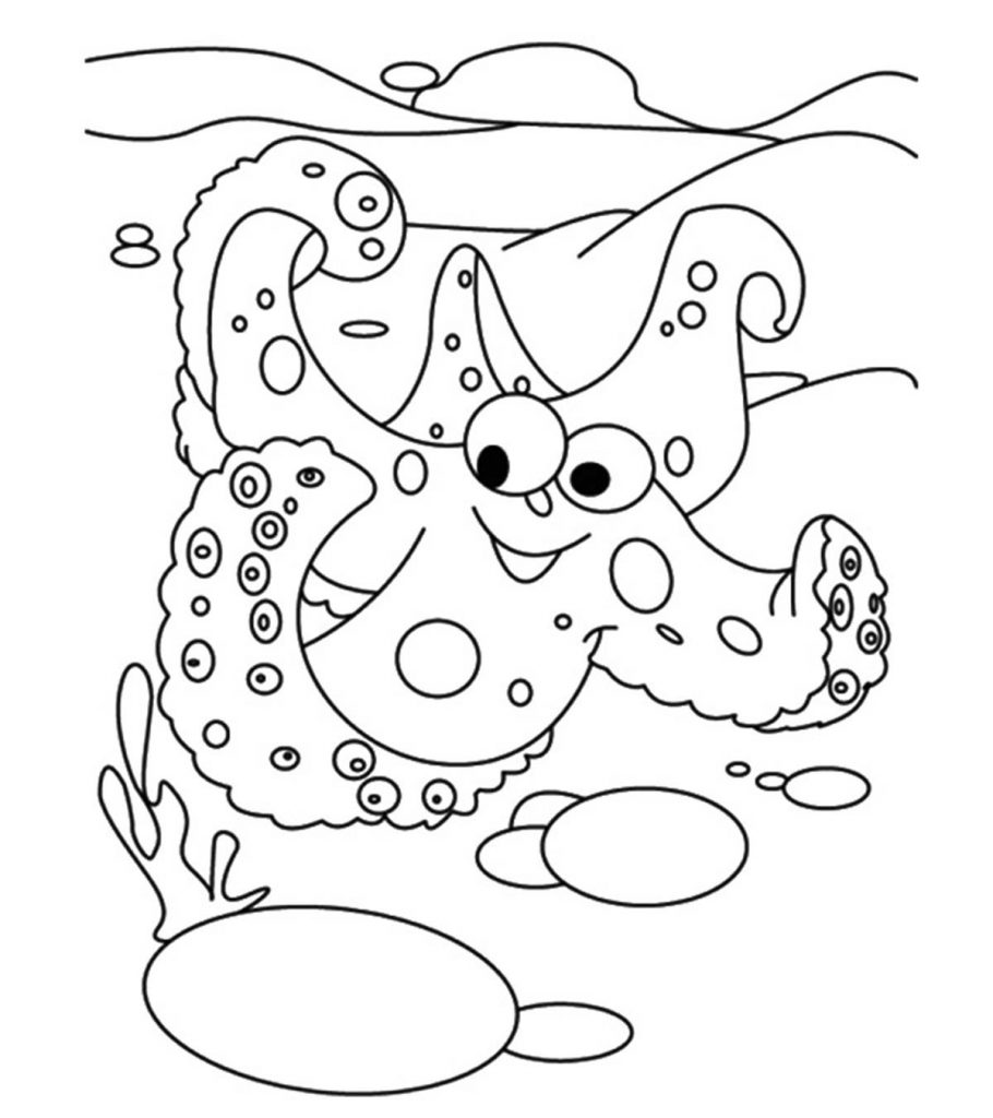 Starfish coloring pages