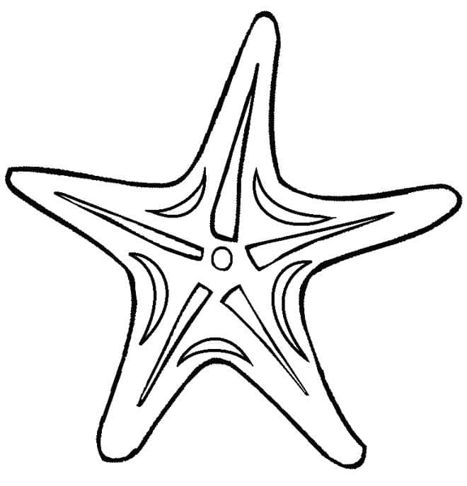 Starfish