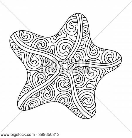 Starfish coloring vector photo free trial bigstock