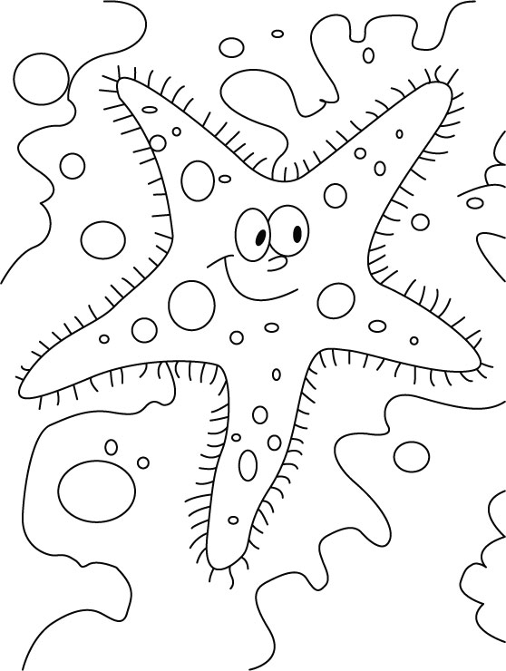 Glaring starfish coloring pages download free glaring starfish coloring pages for kids best coloring pages