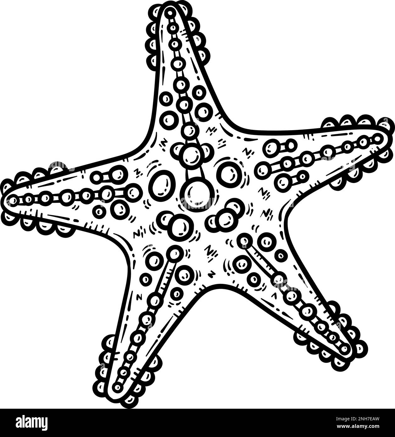 Summer starfish line art coloring page for adult stock vector image art