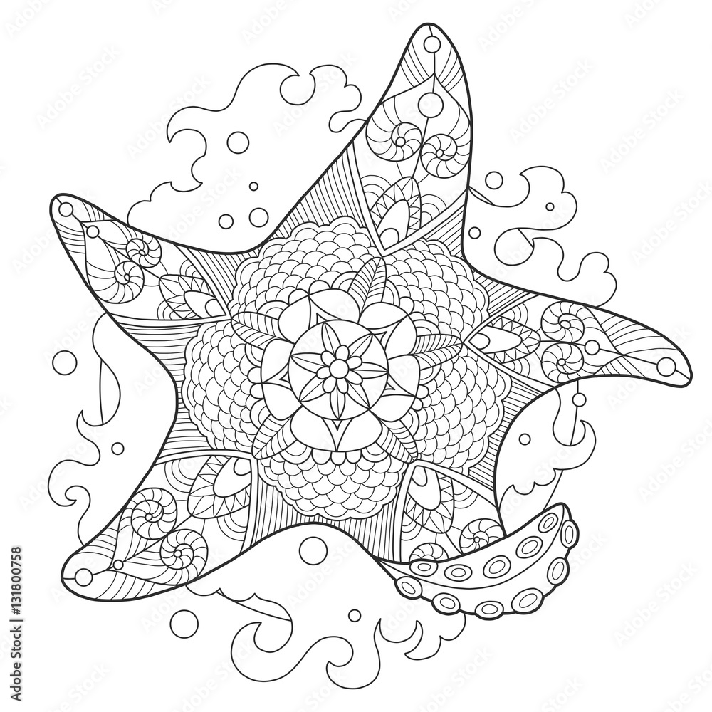 Starfish coloring book for adults vector vector