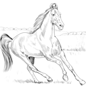 Horses coloring pages free coloring pages