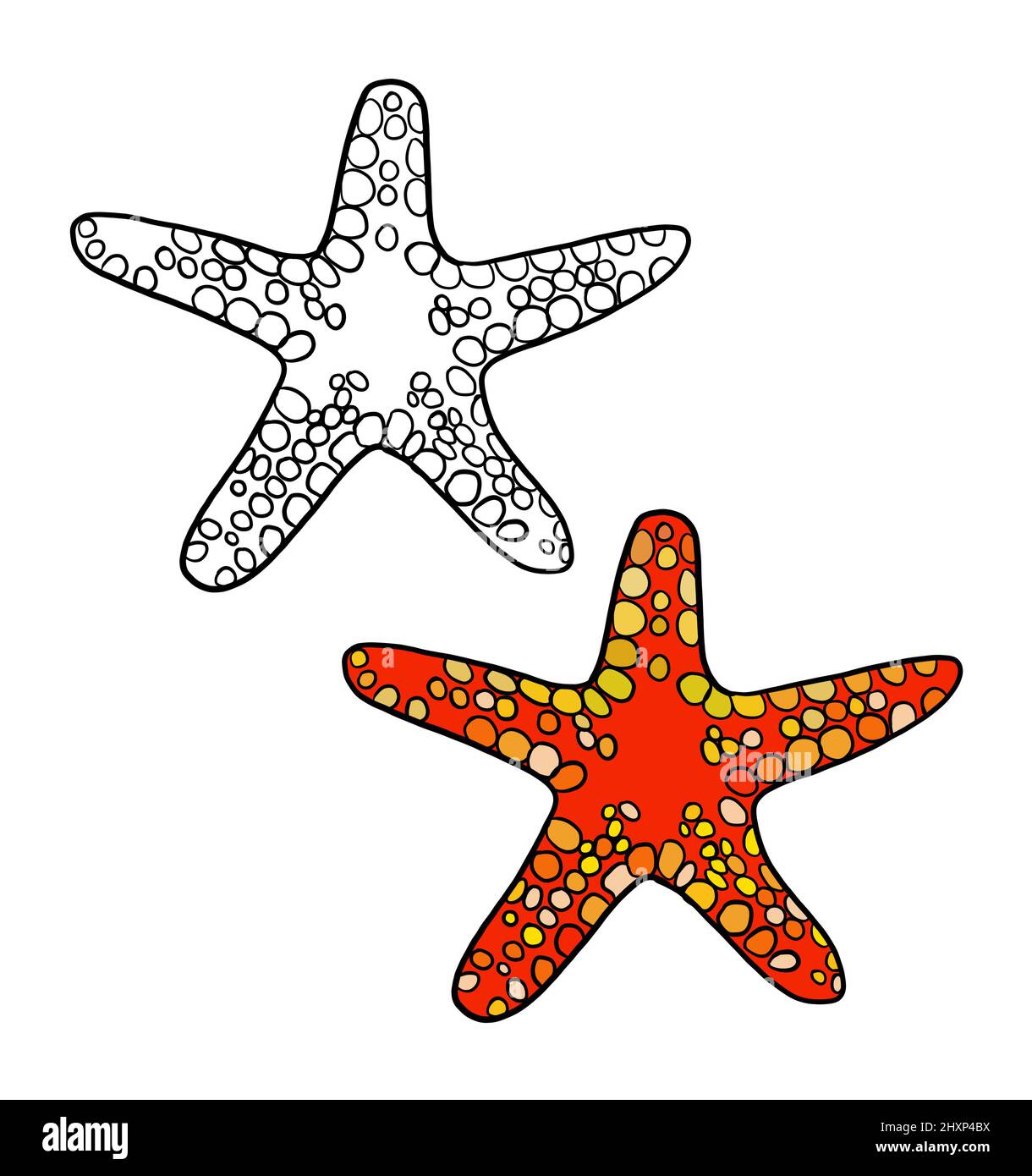 Starfish drawing cut out stock images pictures