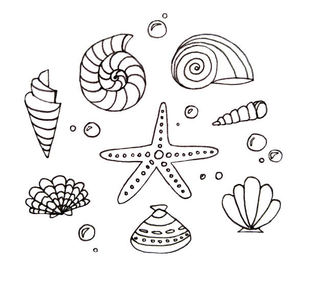 Background of the starfish cut out stock illustrations royalty