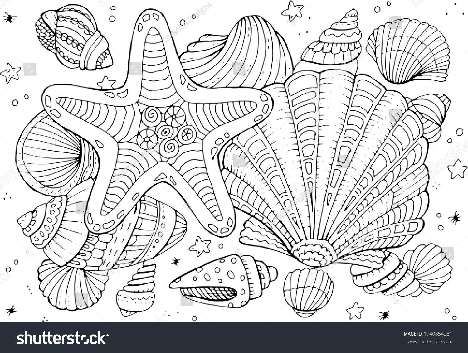 Sea shell coloring page images stock photos d objects vectors