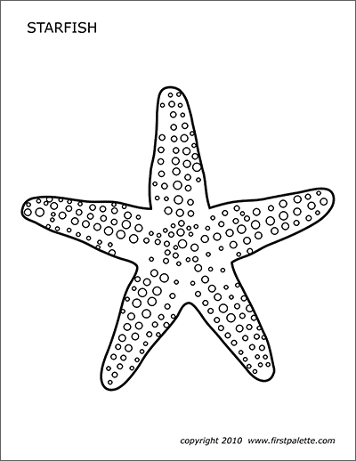 Starfish free printable templates coloring pages