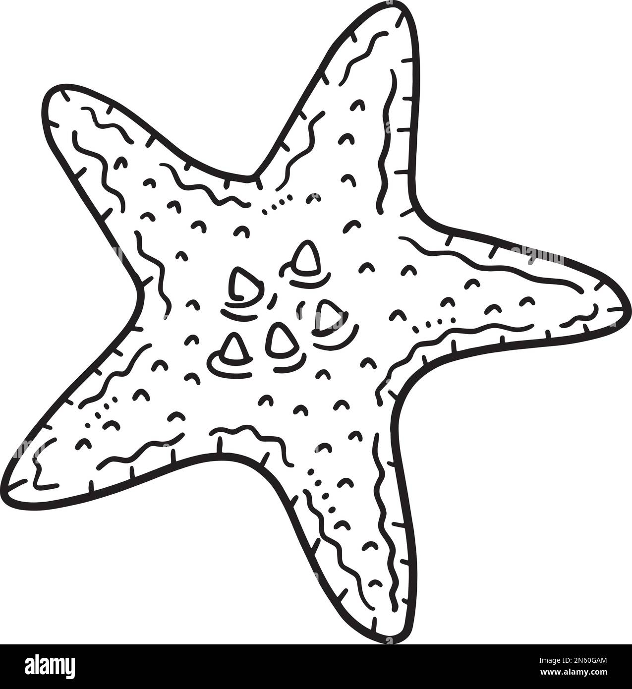 Starfish drawing black and white stock photos images
