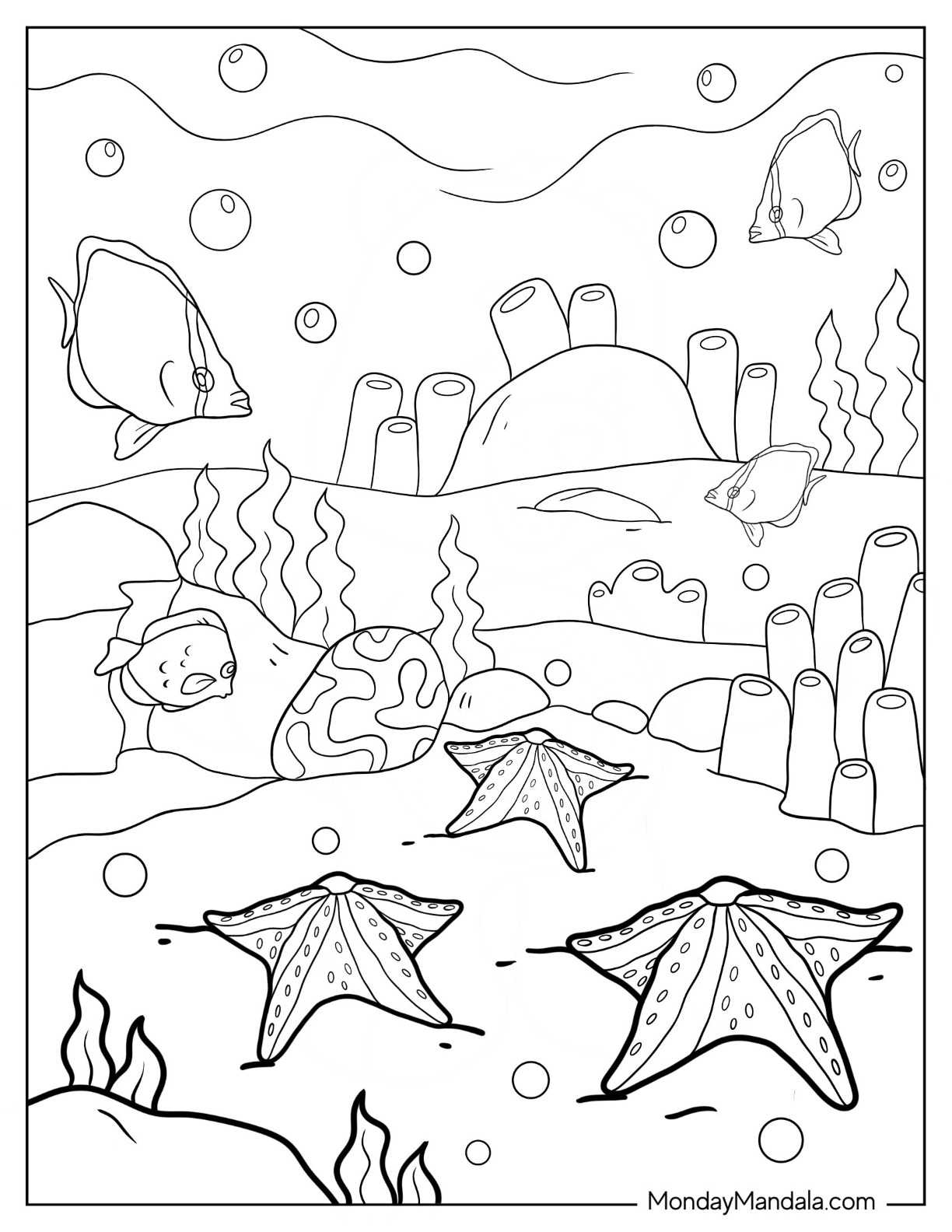 Starfish coloring pages free pdf printables