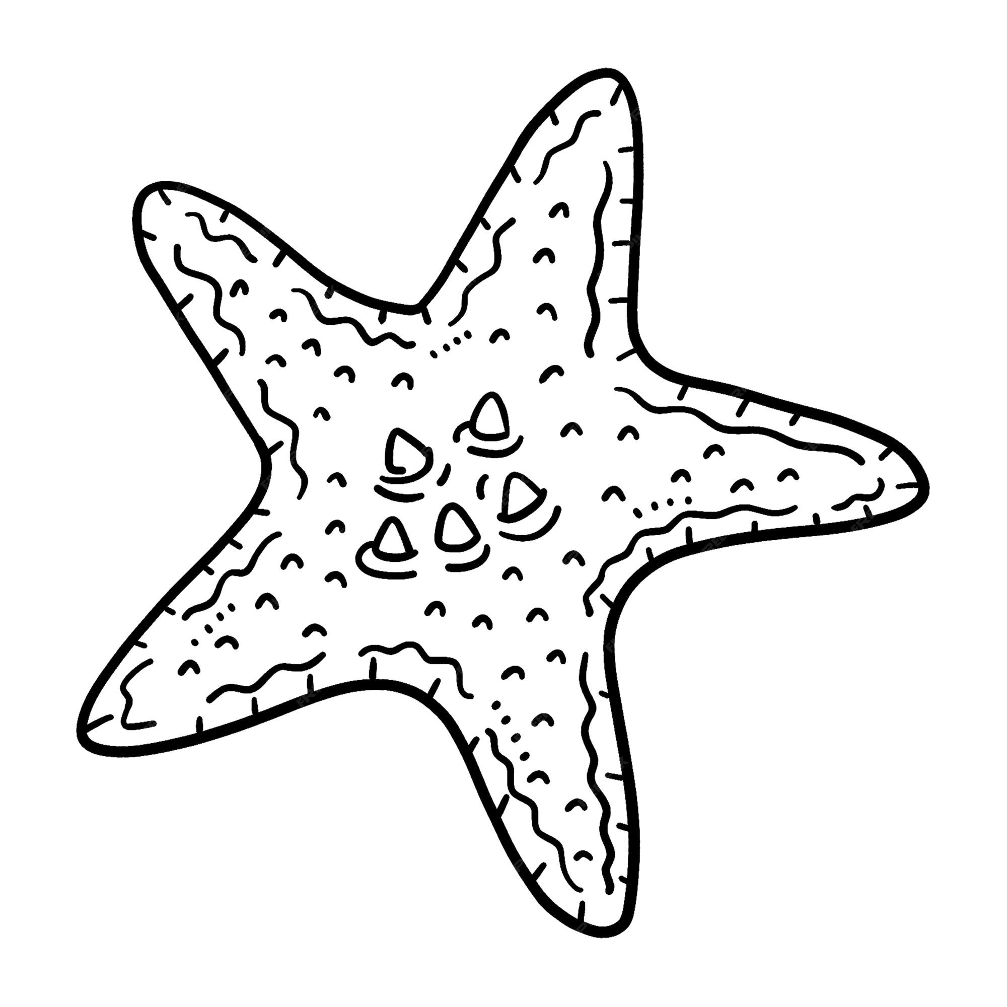 Premium vector starfish isolated coloring page for kids