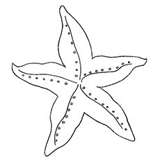 Starfish coloring pages