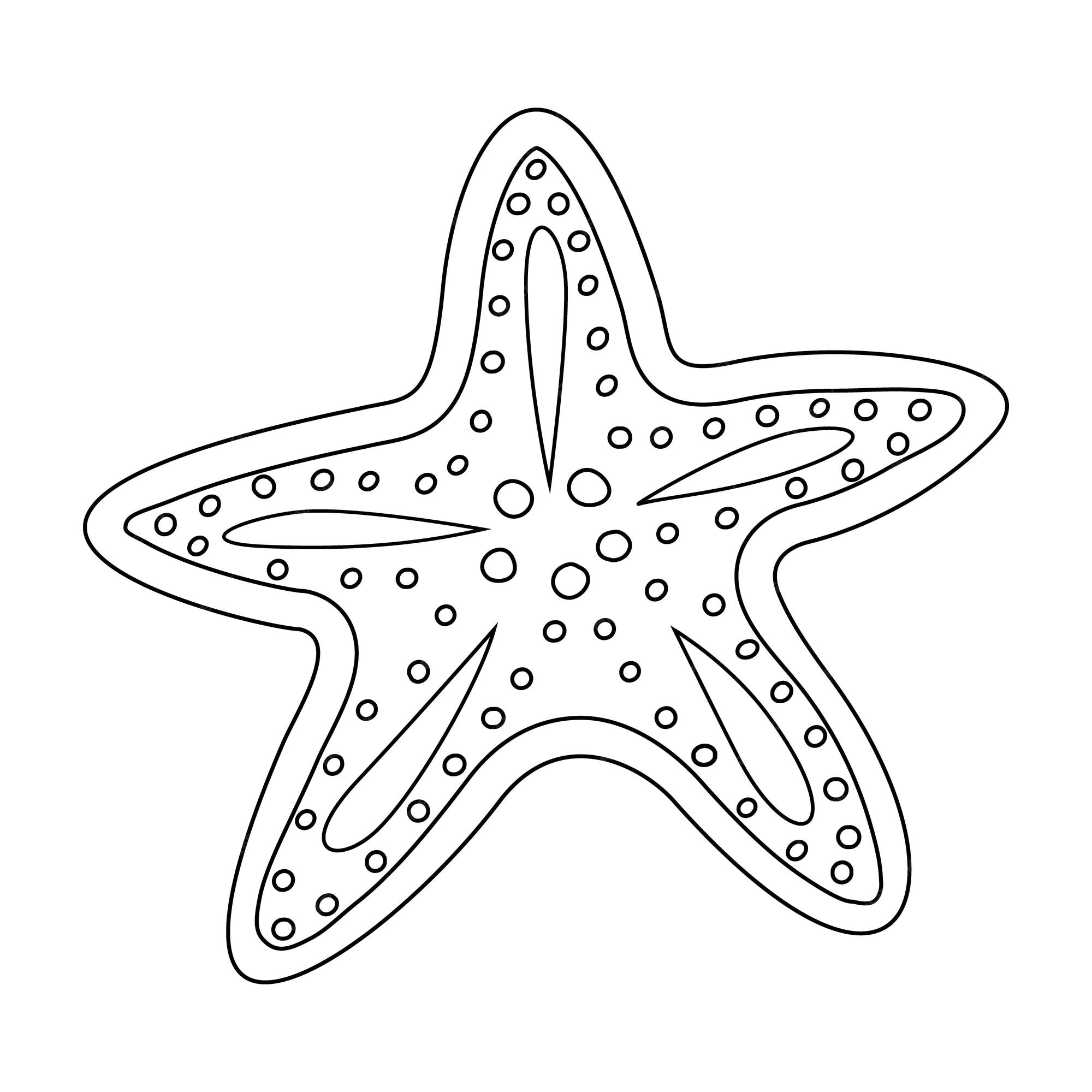 Premium vector vector illustration of a starfish outline drawing of a starfish illustration for the coloring book