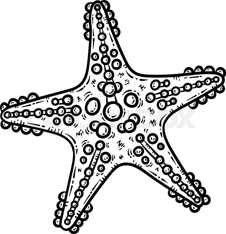 Summer starfish line art coloring page for adult stock vector