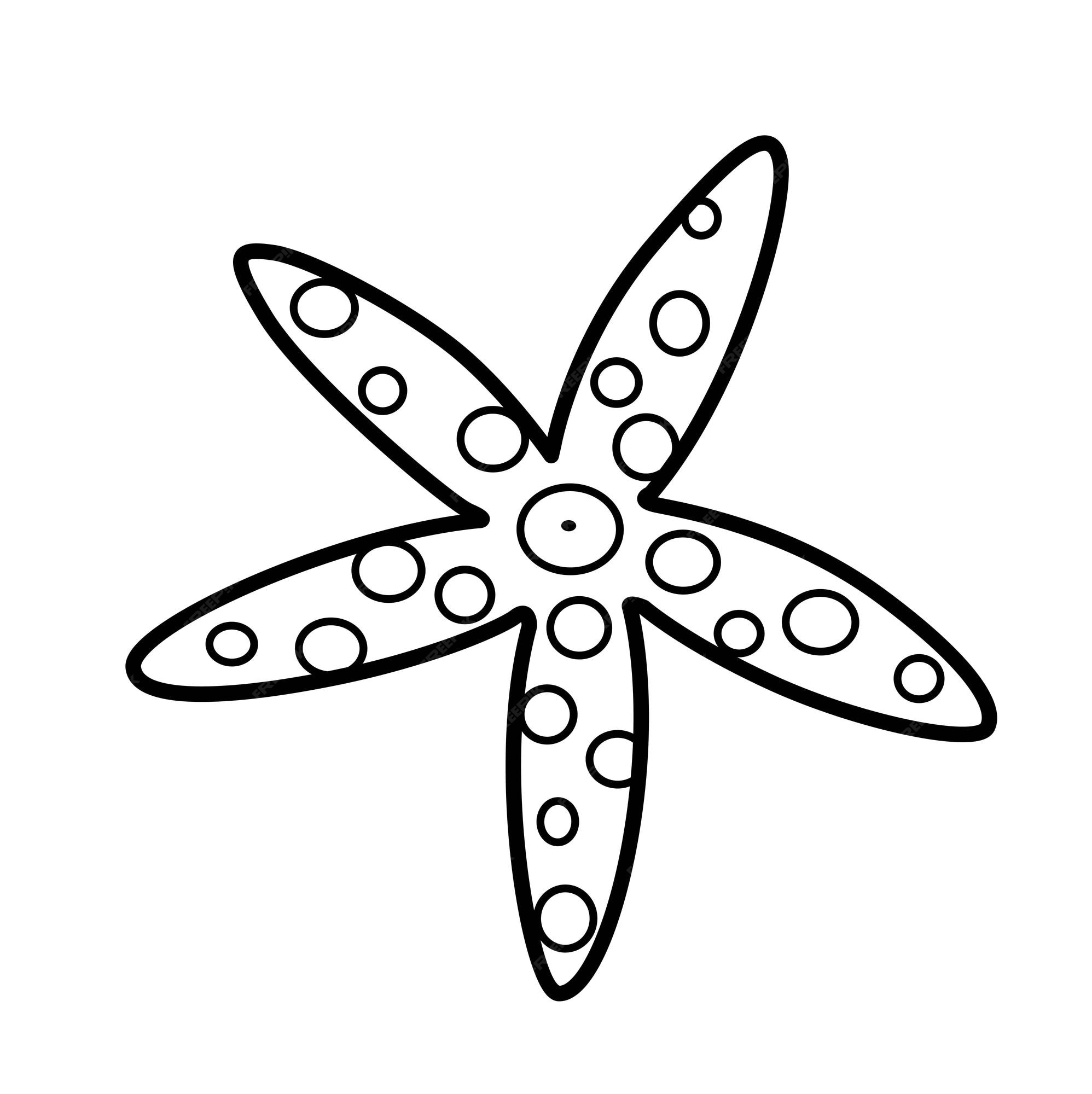 Premium vector starfish with thin beams outlined for coloring page isolated on white background