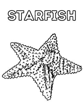 Starfish coloring page by lindsey forkel tpt