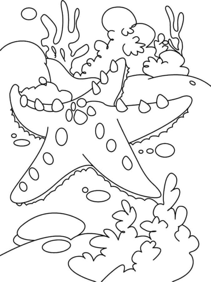 Starfish under the ocean coloring page