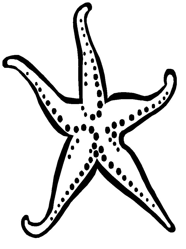 Free printable starfish coloring pages for kids