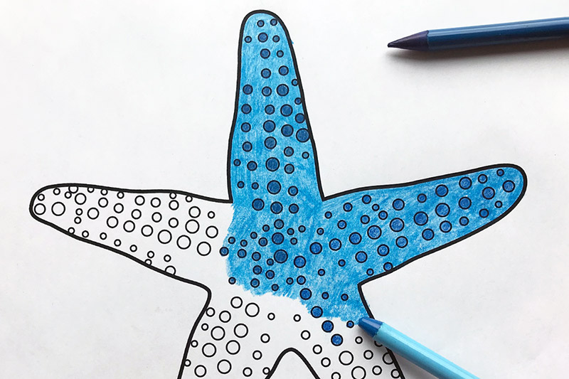 Starfish free printable templates coloring pages