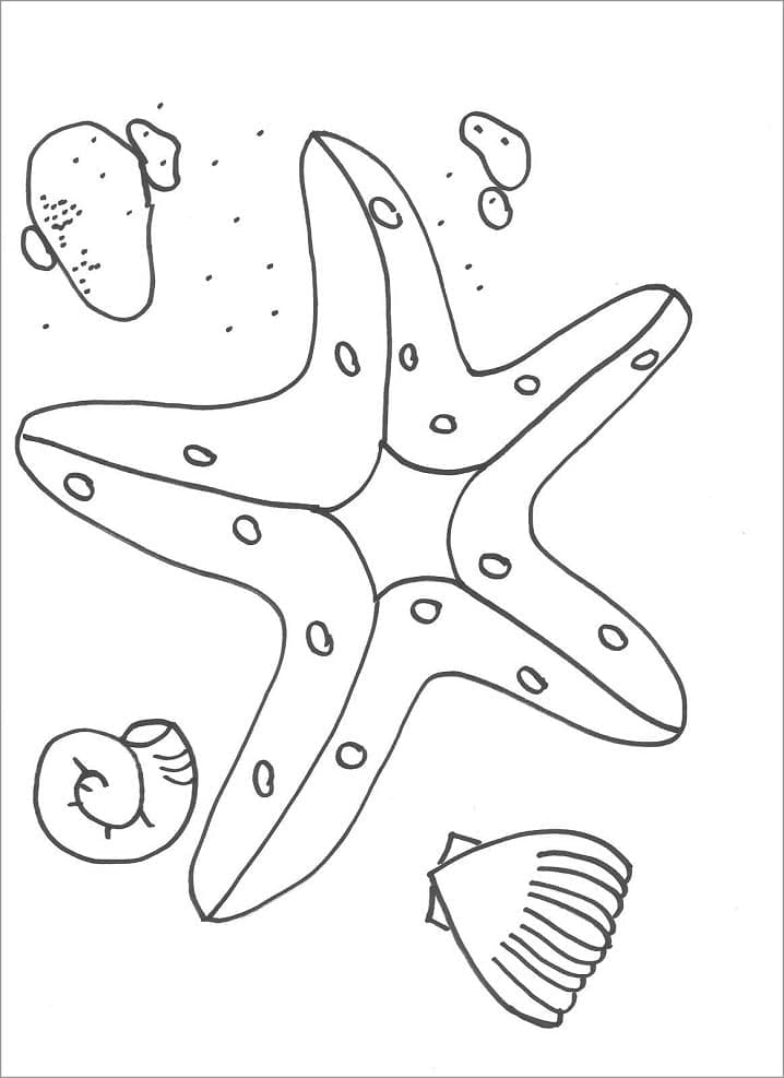 Starfish and seashells coloring page