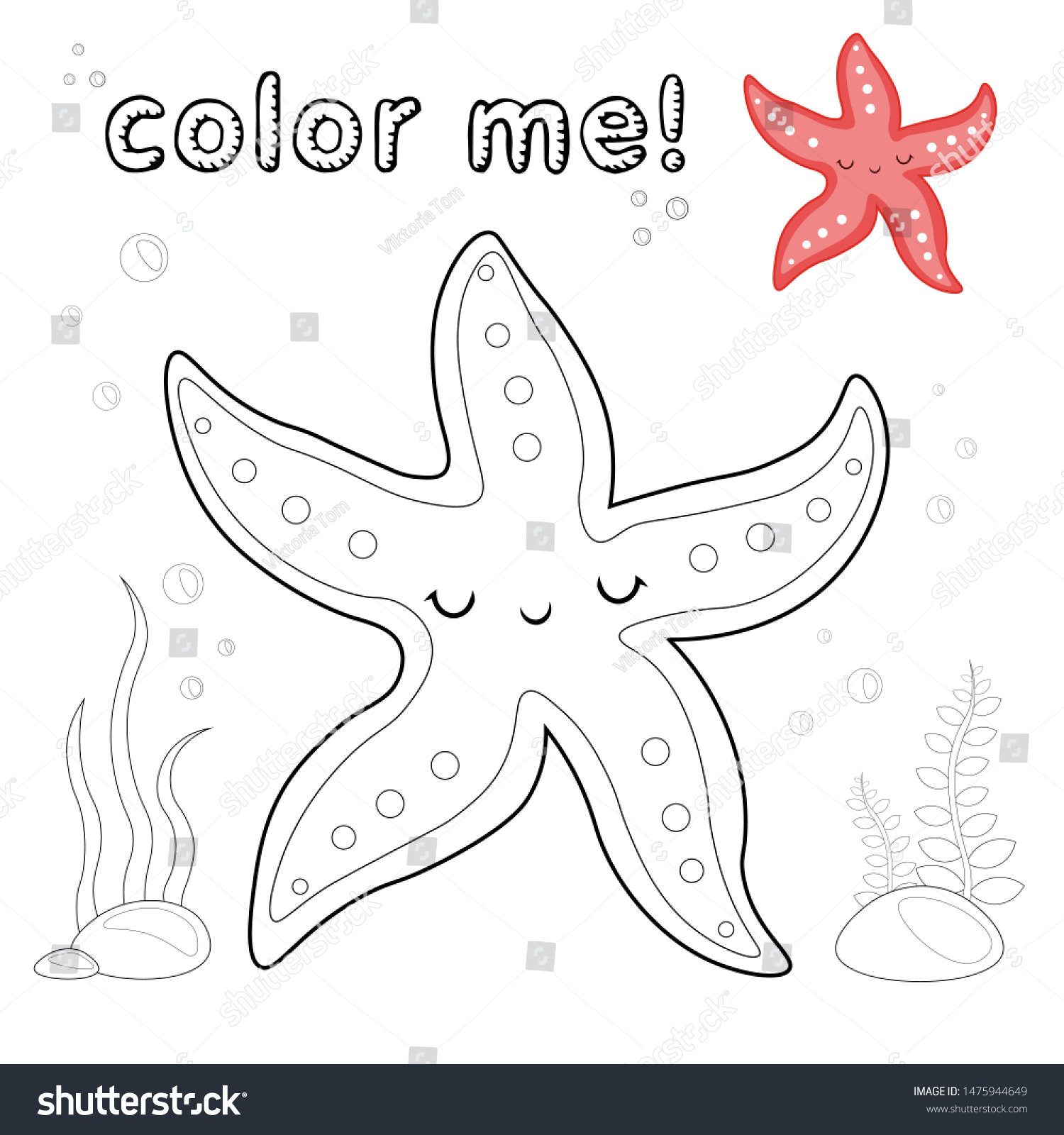 Outline starfish coloring page black white stock vector royalty free