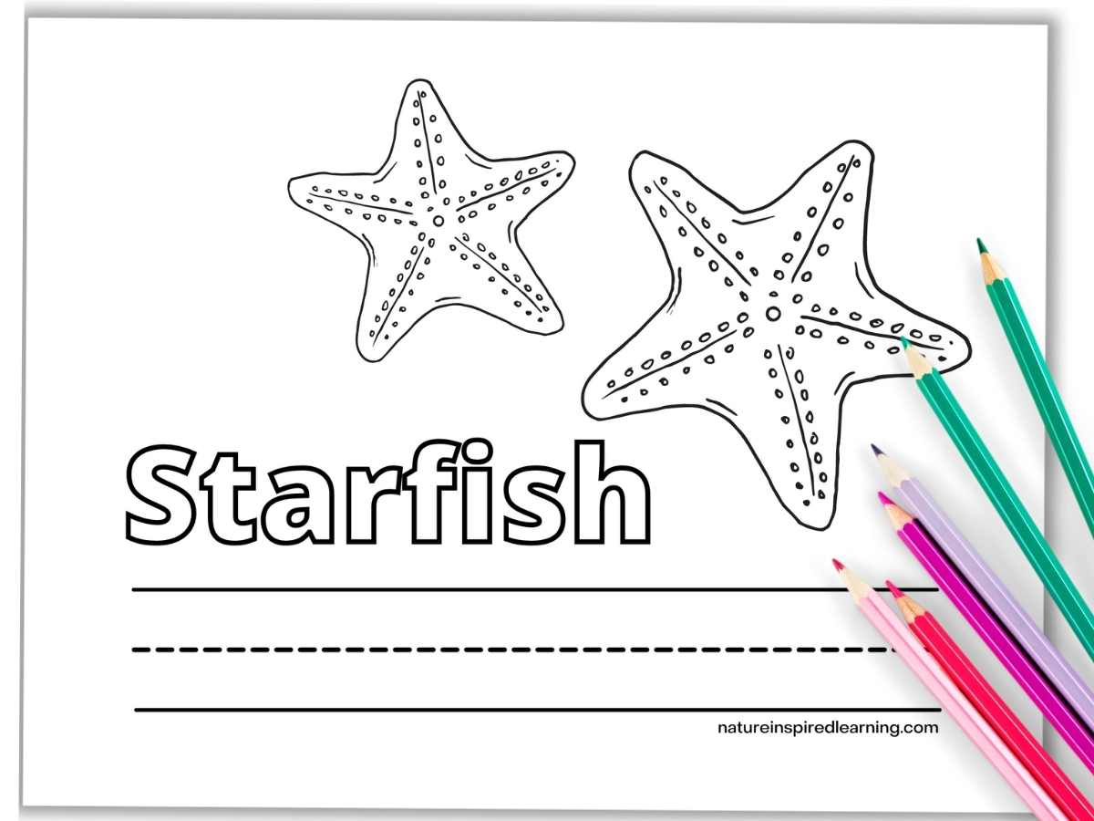 Starfish coloring pages