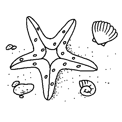 Coloring page starfish