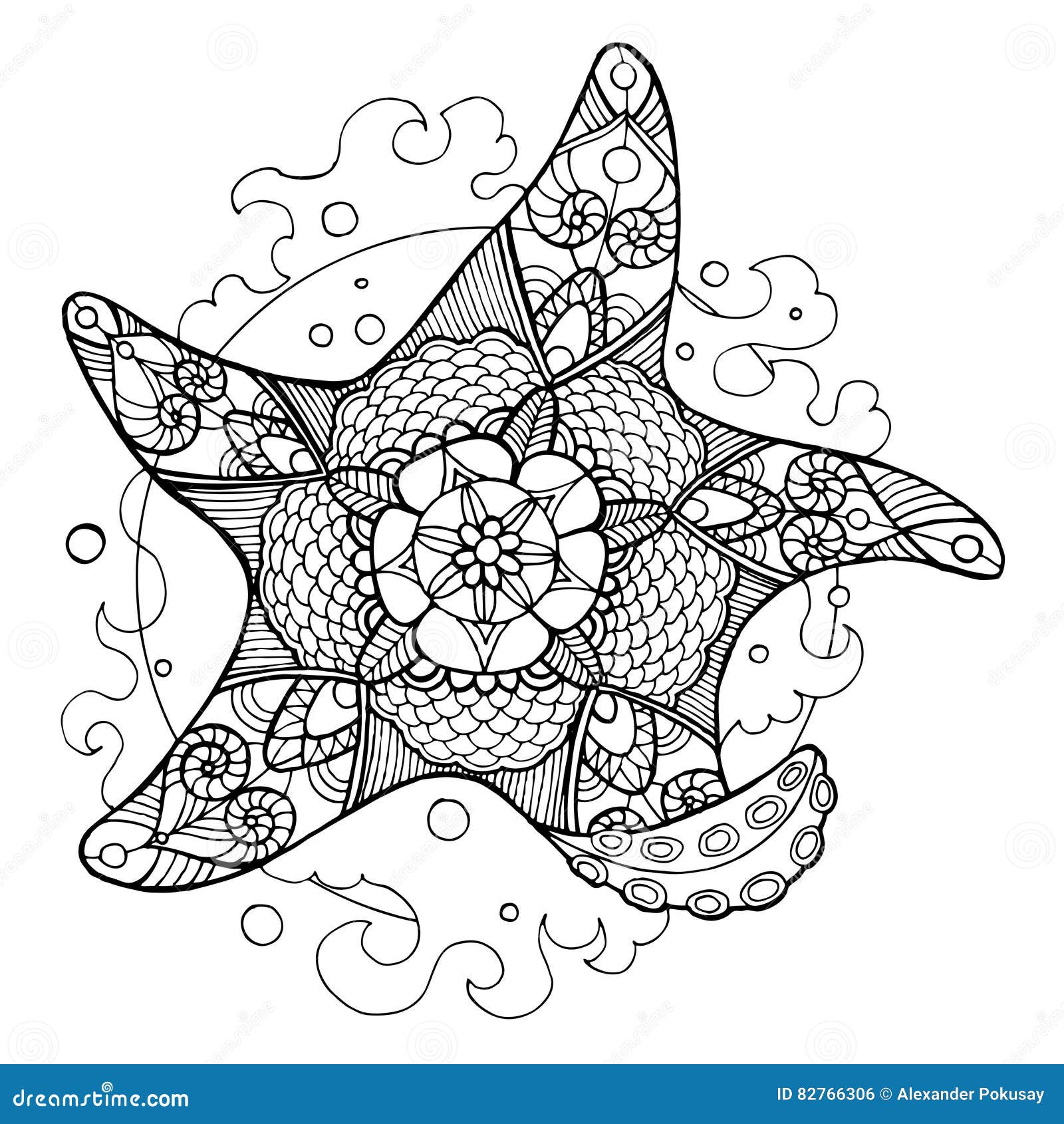 Starfish coloring book for adults vector stock vector