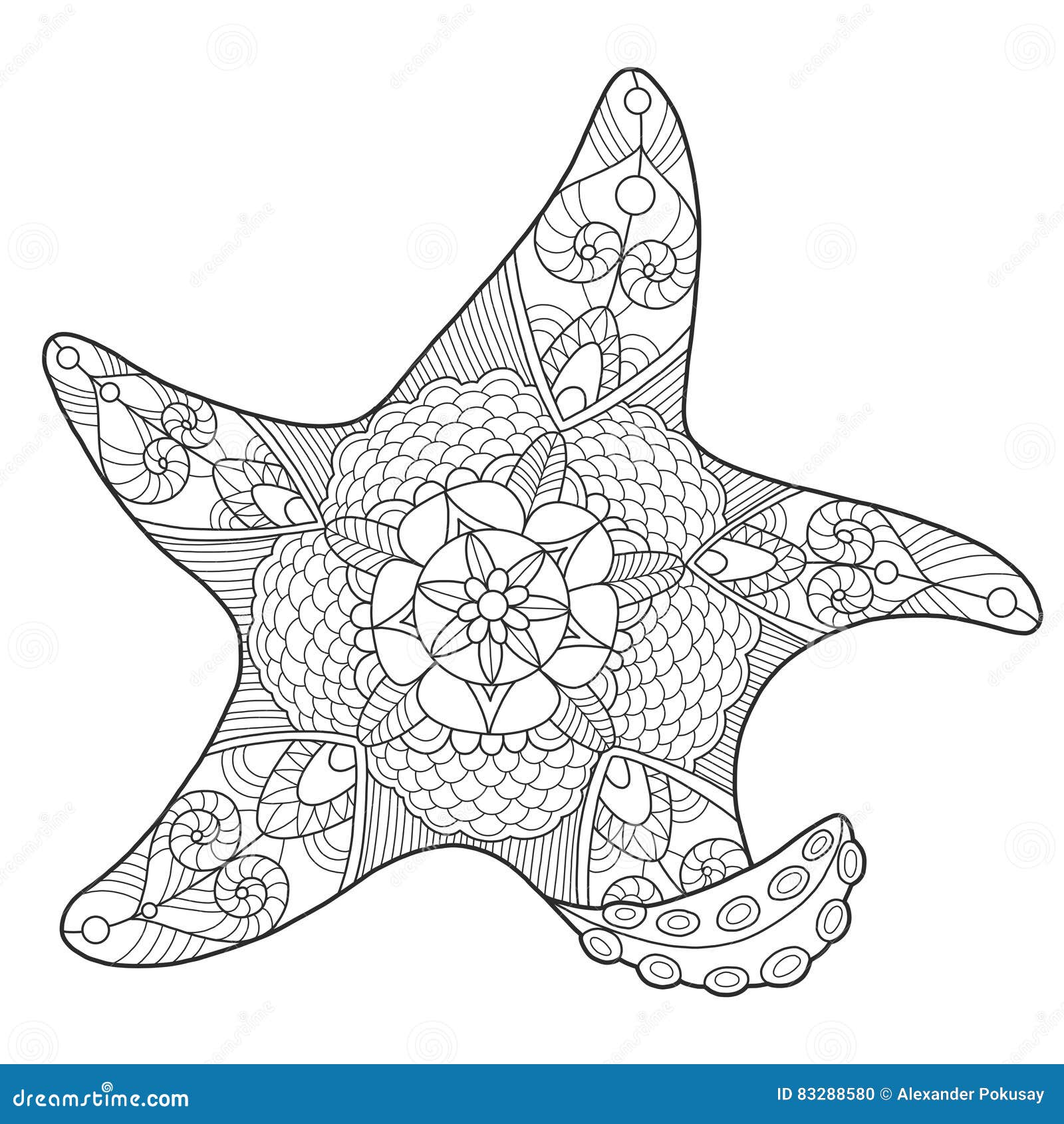 Starfish coloring book for adults vector stock vector