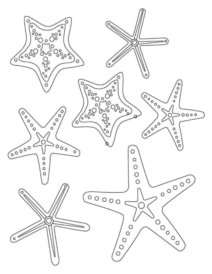 Starfish coloring pages