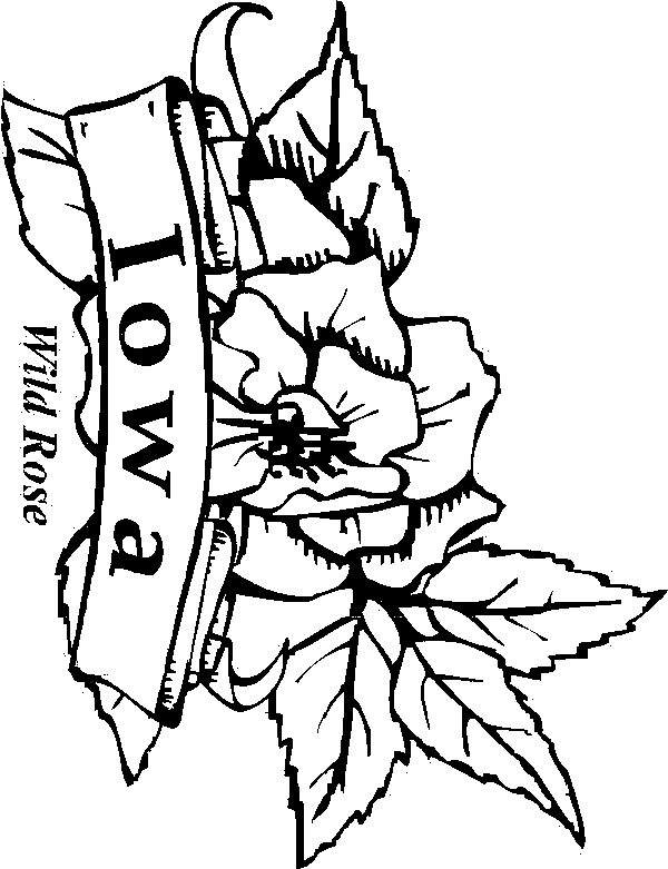 State flowers coloring pages for kids